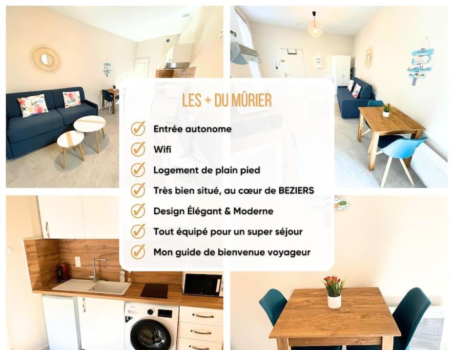 Studio Bien Equipe A 2 Pas De La Gare Beziers Ngoại thất bức ảnh